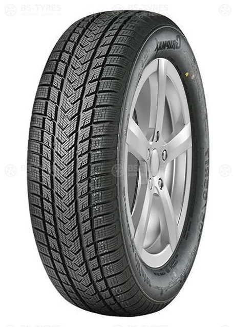 Gripmax SureGrip eWinter 205/40 R17 84V
