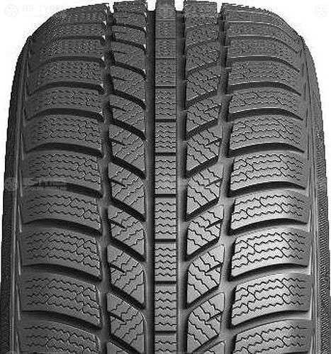 Evergreen Winter EW62 205/65 R16 95H